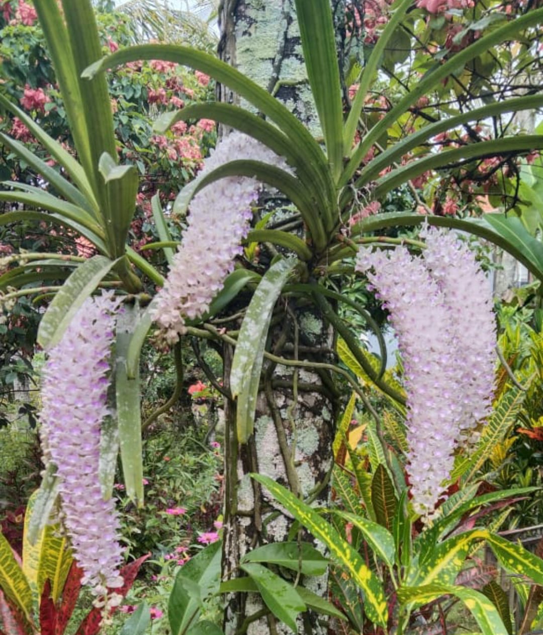 <strong>LATIHAN EKSTRA</strong>