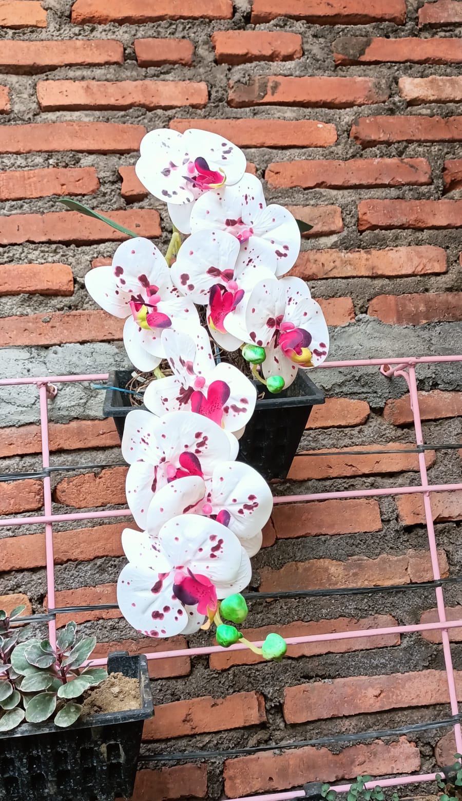 Potensiku, Potensimu, Potensi Kita