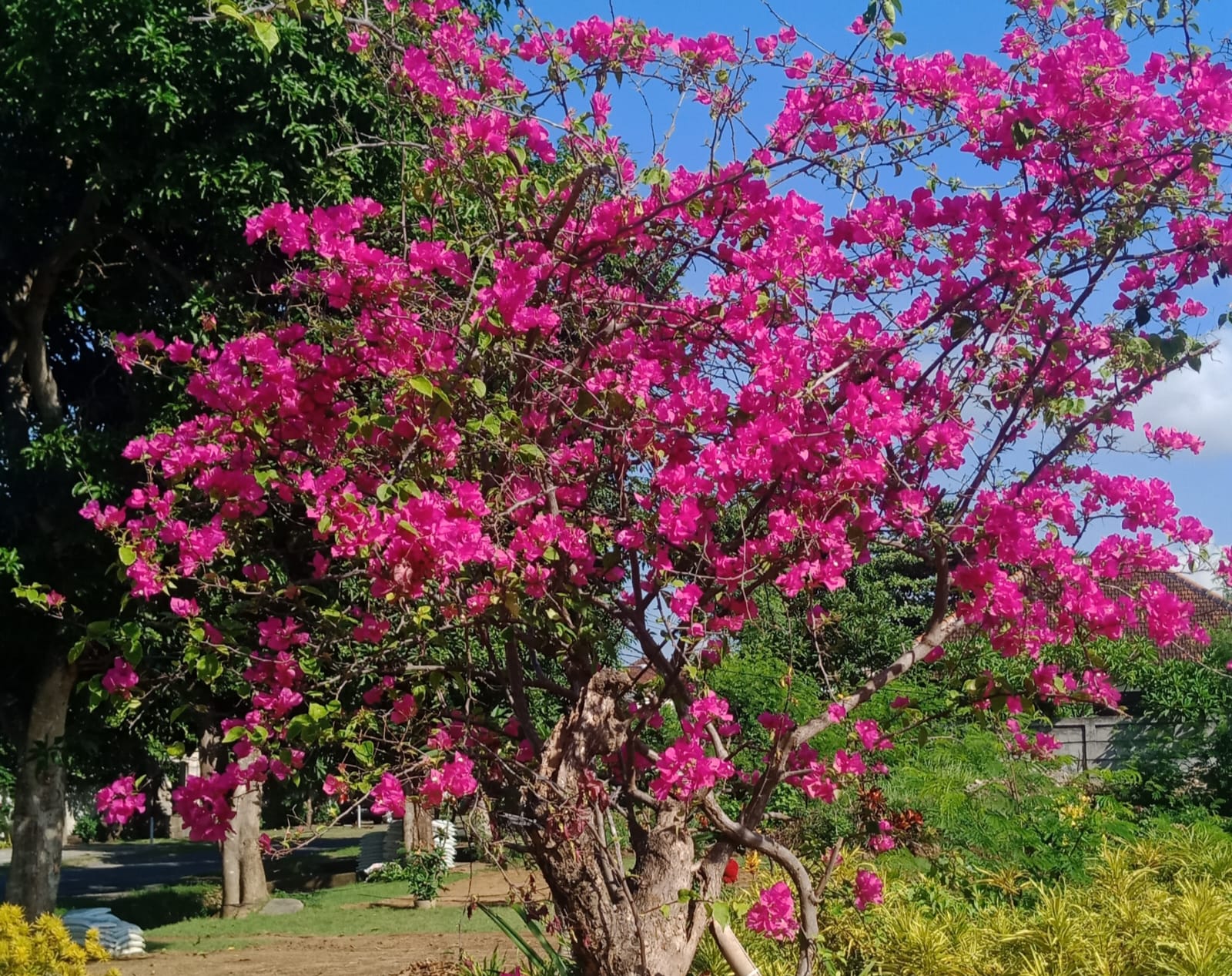 Menjadi Pribadi Antusias